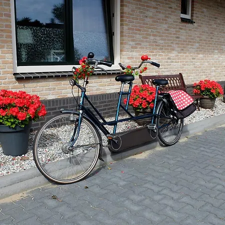 De Koog Aan Zee Bed & Breakfast De Koog (Texel)